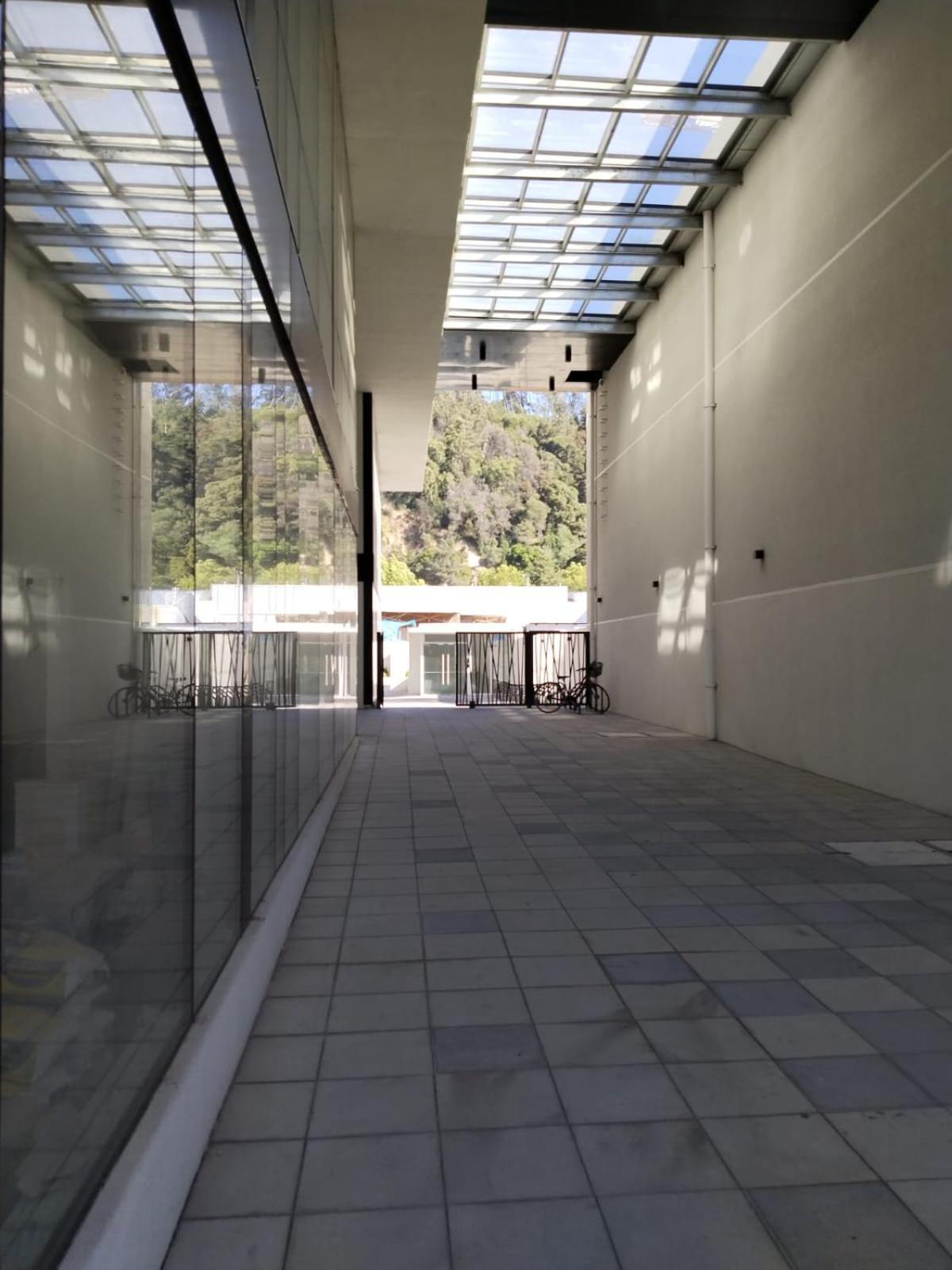 Apartamento A Pasos De La Udec Y Centro *