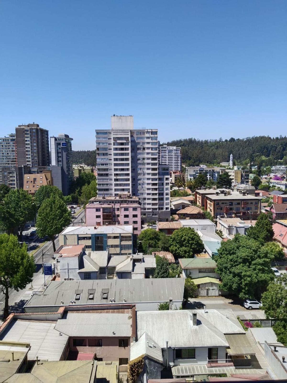 Apartamento A Pasos De La Udec Y Centro Concepción