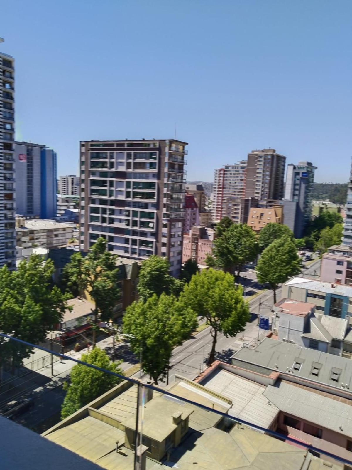 A Pasos De La Udec Y Centro Apartamento