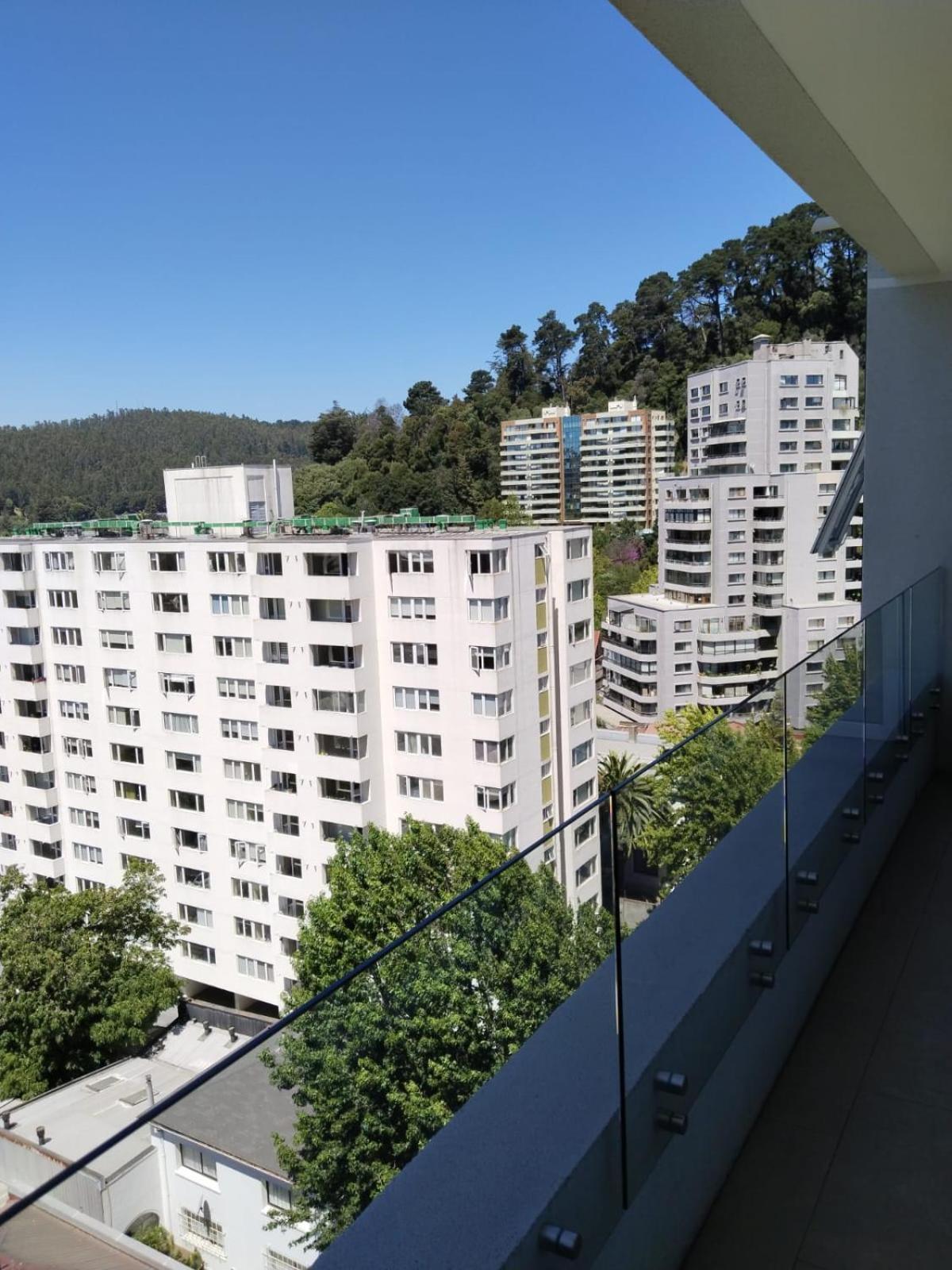 A Pasos De La Udec Y Centro Apartamento *