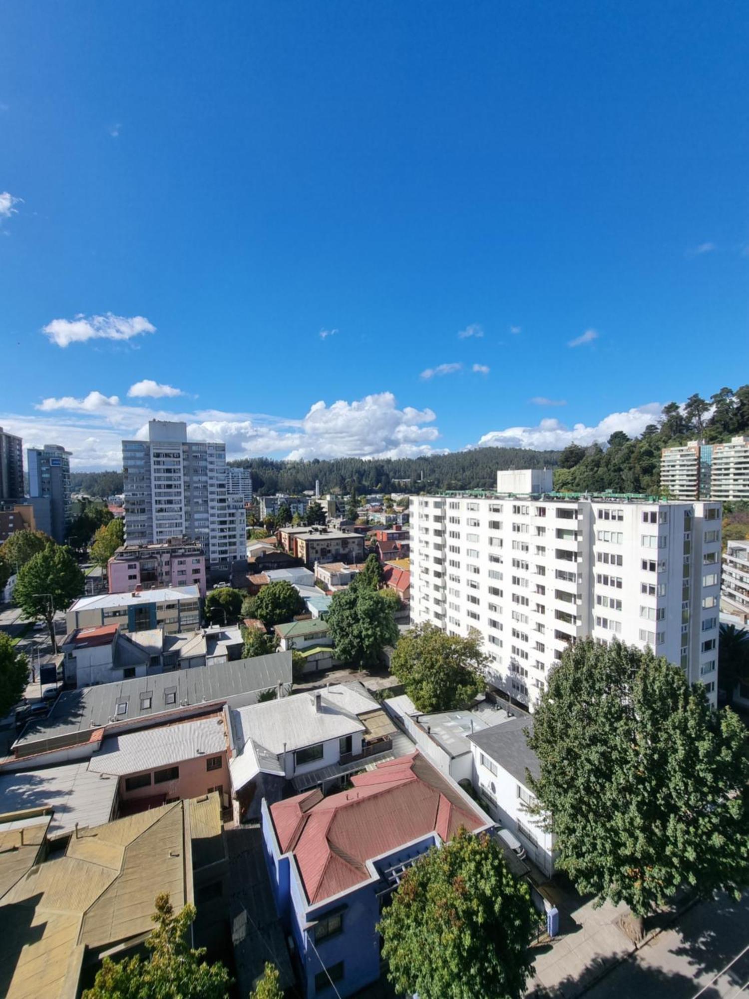 A Pasos De La Udec Y Centro Apartamento Concepción